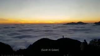 Story WA (Surah Al-Qalam)🍃