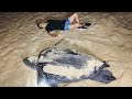 Tortugas Gigantes poniendo huevos | Toda una noche para mirar lo que nos regala la naturaleza