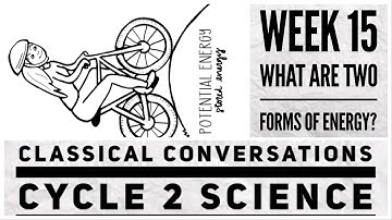 CC Cycle 2 Week 15 Science forms of energy