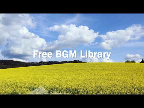 Shuffle Shuffle Copyright Free BGM 