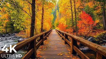 11 HOURS of 4K Enchanting Autumn Nature Scenes + Relaxing Piano Music for Stress Relief