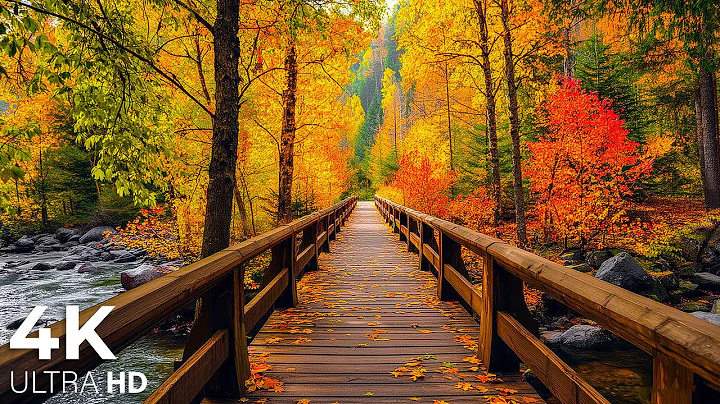 11 HOURS of 4K Enchanting Autumn Nature Scenes + Relaxing Piano Music for Stress Relief