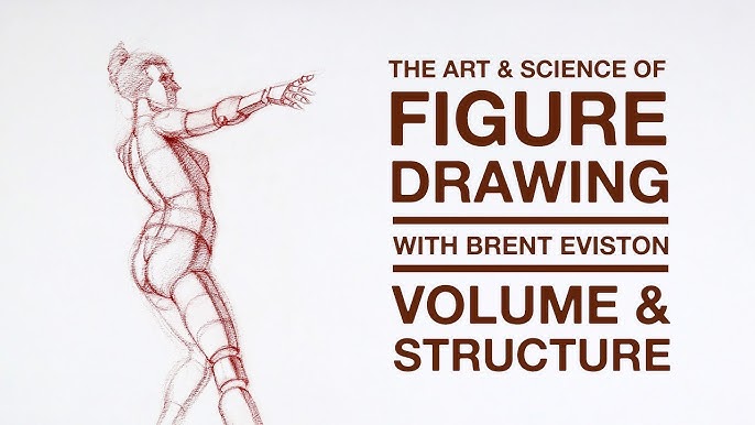 Figure Drawing 101: The Fundamentals of Figure Drawing! - Podium