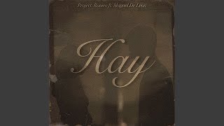 Hay