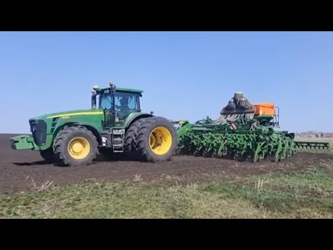 Видео: Посевная 2024. Посев твердой пшеницы.
