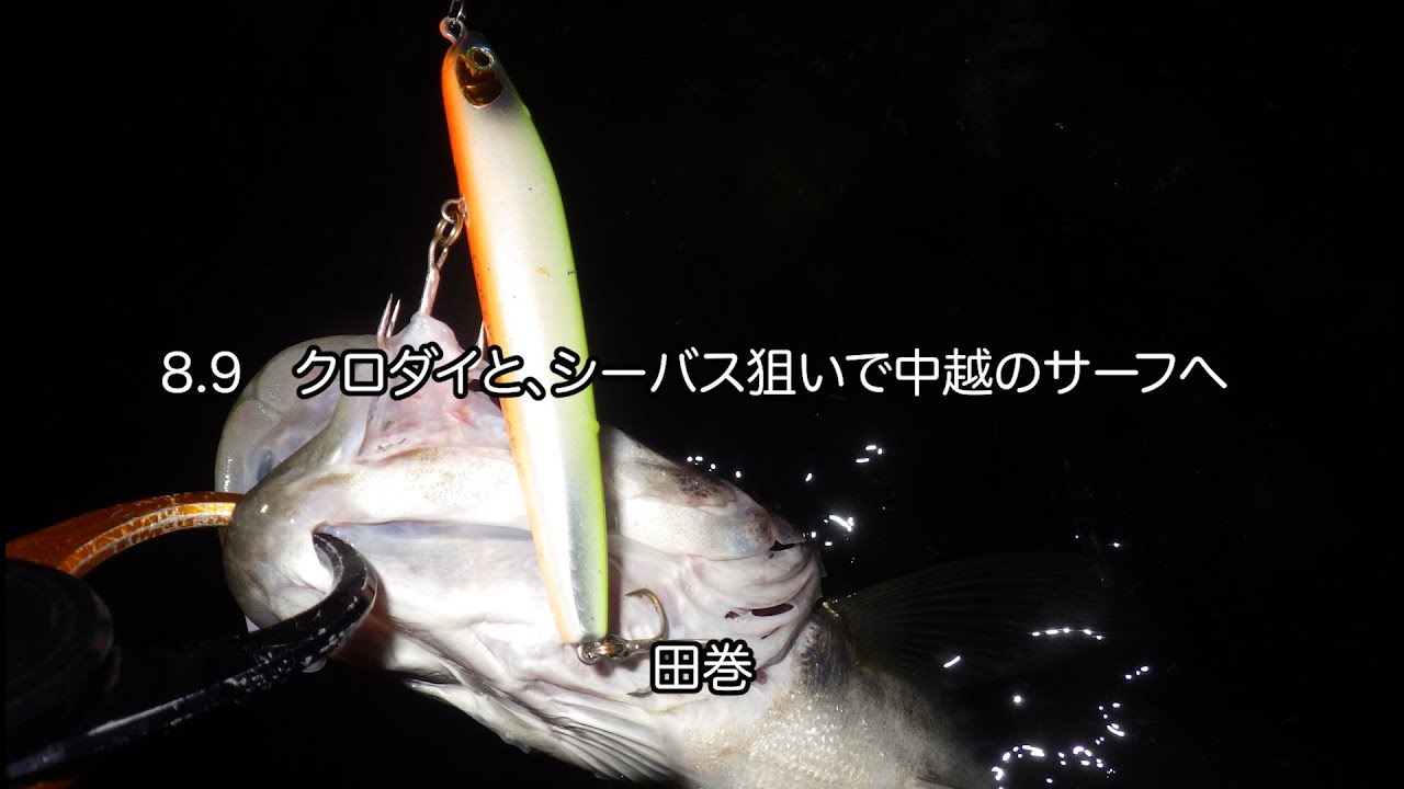 8月9日 クロダイ シーバス狙いで 中越のサーフへ Youtube