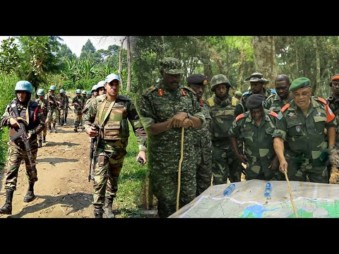 RDC: Départ immédiat de la MONUSCO, les FARDC face au M23 et l'ADF avec une force régionale ennemie?