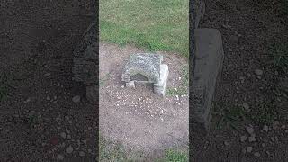 buried gravestone