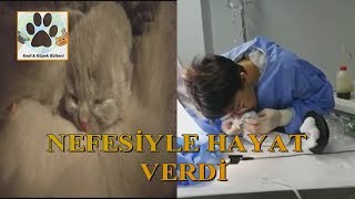 Bu Bir Mucize Yavru Kediyi Nefesiyle Hayata Bağladı