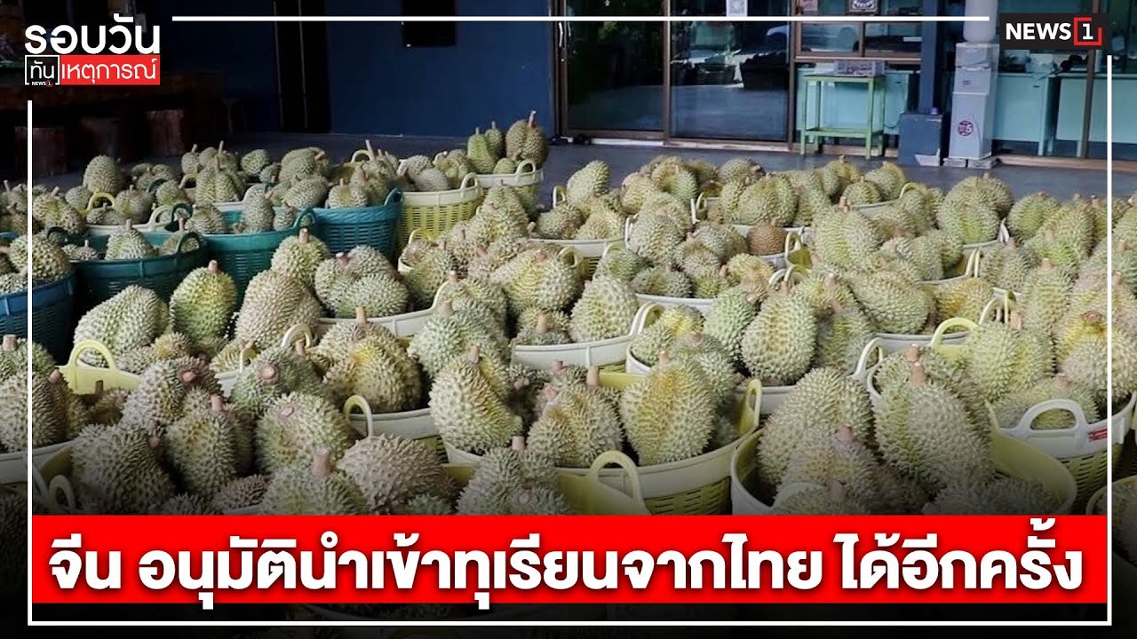 จีน อนุมัตินำเข้าทุเรียนจากไทย ได้อีกครั้ง : รอบวันทันเหตุการณ์ 17.00 น./ วันที่ 17 ม.ค.68