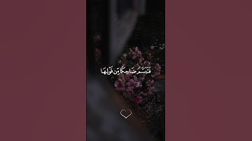 فَتَبَسَّمَ ضَاحِكًا مِّن قَوْلِهَا || سورة النمل #محمد_صديق_المنشاوي 🤍🌱