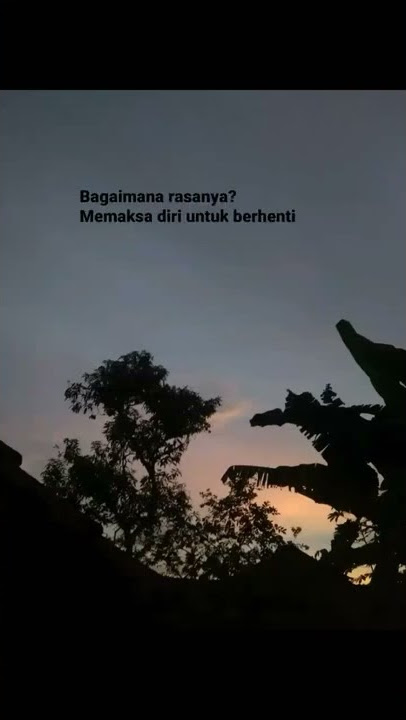 STORY WA IKHLAS MELEPASKAN