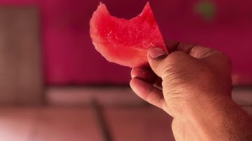 Iphone 7 Plus bokeh photography and video test.