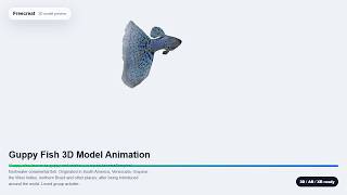 Download Guppy Fish 3D Model Animation 3D Model on Freecreat | GLB FBX OBJ STL