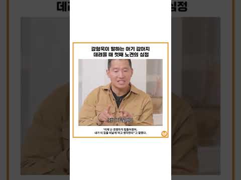 강형욱이 말하는 아기 강아지 데려올 때 첫째 <strong>노견의</strong> 심정 #shorts