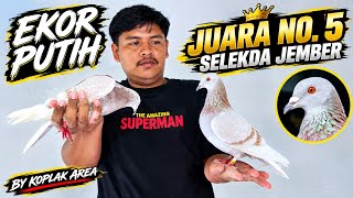 Meetup with the Jember Regional Selection champion no. 5, September 20, 2026
