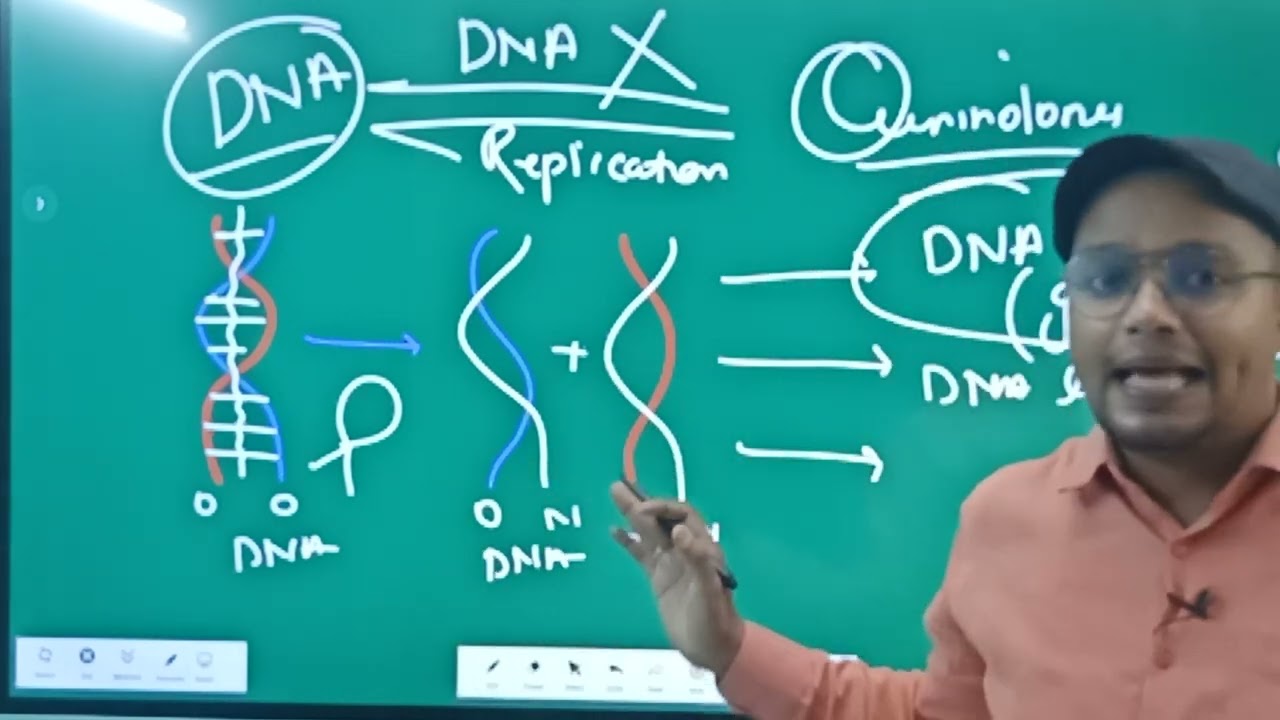 Quinolones Drugs Mechanism & Use Nalidixic Acid Ofloxacin