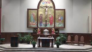 Holy Mass - July 21, 2026