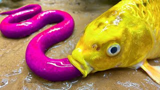 Stop Motion MAGNETIC Fish 잉어와 메기를 위한 미니 수영장 | MUKBANG 바다게, 황금개구리 ASMR 재미있는 스톱모션 애니메이션