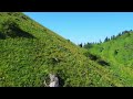 Butakovka 02 07 2022 The gorge&#39;s north slope DRONE 4K