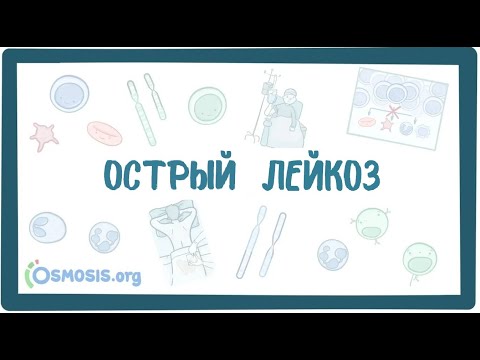 Острый Лейкоз (Osmosis)