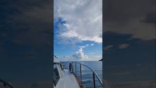 Leaving Butterfly Bay early in the morning. So it's a perfect time for Morning Mood by Edvard Grieg.