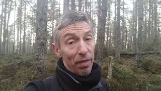 International Fraud - A Message For The Parents Of Milly Dowler