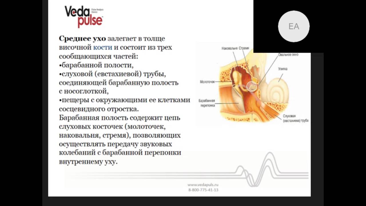 Заложенность уха тубоотит