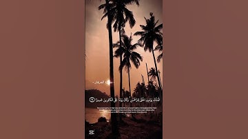 "تلاوة تبكي المصلين - لحظات خاشعة لا تُنسى" من #تراويح 16 رمضان | #ترتيل القارئ مصطفى سليم