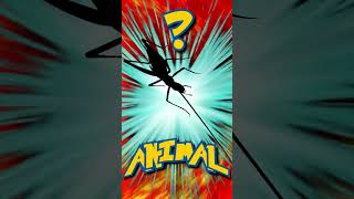 Who&#39;s That ANIMAL?! (ep. 77) #shorts #animals #quiz | Animal Fact Files