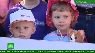 Дефицит парков, плохая экология, дольщики: о каких проблемах рассказали Путину его земляки Дефицит парков, плохая экология, дольщики: о каких проблемах рассказали Путину его земляки