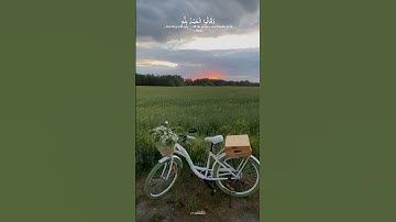 سورة فاطر🎧| وَقَالُوا الْحَمْدُ لِلَّهِ الَّذِي أَذْهَبَ عَنَّا الْحَزَنَ♡ تلاوة #عمر_بن_ضياء_الدين