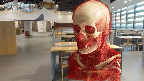 An MR Framework for Interactive Realistic Volume Rendering with Dynamic Environment Illumination