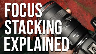 Macro focus stacking methods EXPLAINED (Best tips I use for sharp shots)