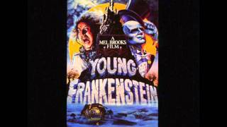 Video thumbnail of "14 - Theme From Young Frankenstein"