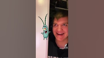 SpongeBoob impressions