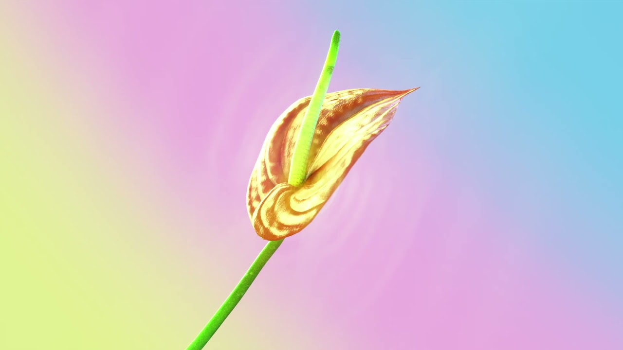 Watch Ineffekt - Oasis Trail on YouTube Watch Ineffekt - Oasis Trail on YouTube