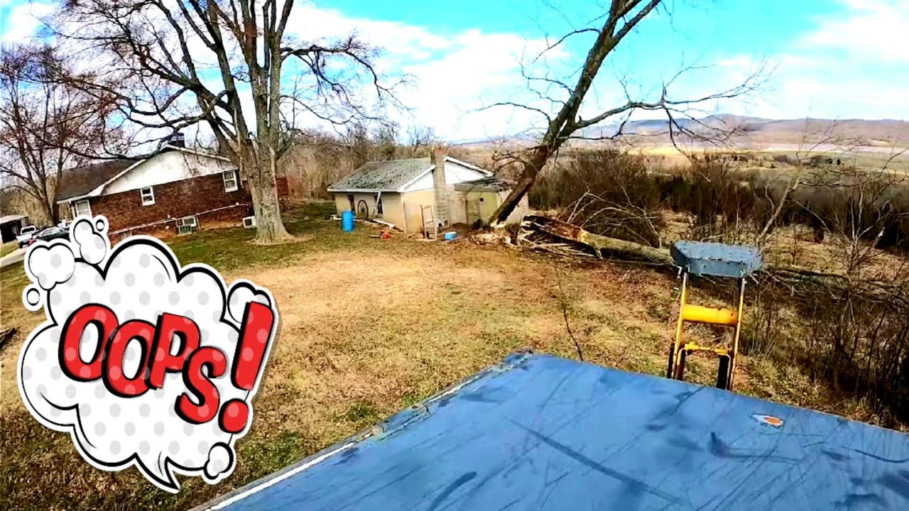 Tree Vs  Garage!! Remember what happened last time...