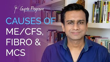 Causes of ME/CFS, Fibromyalgia & MCS with Ashok Gupta