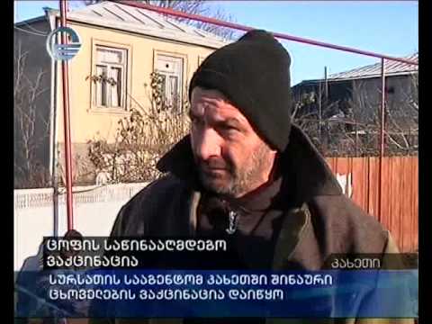 ცოფის საწინააღმდეგო ვაქცინაცია