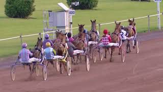 Vidéo de la course PMU PRIX JIMINE DU MARAIS