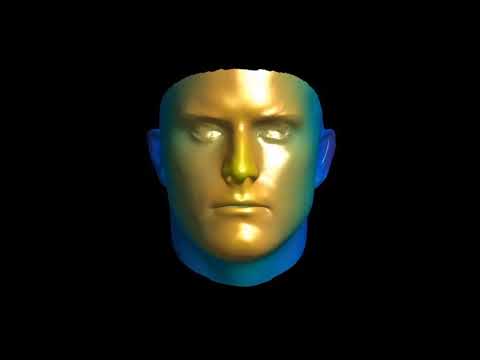Morphing between 50 Male and 50 Female faces