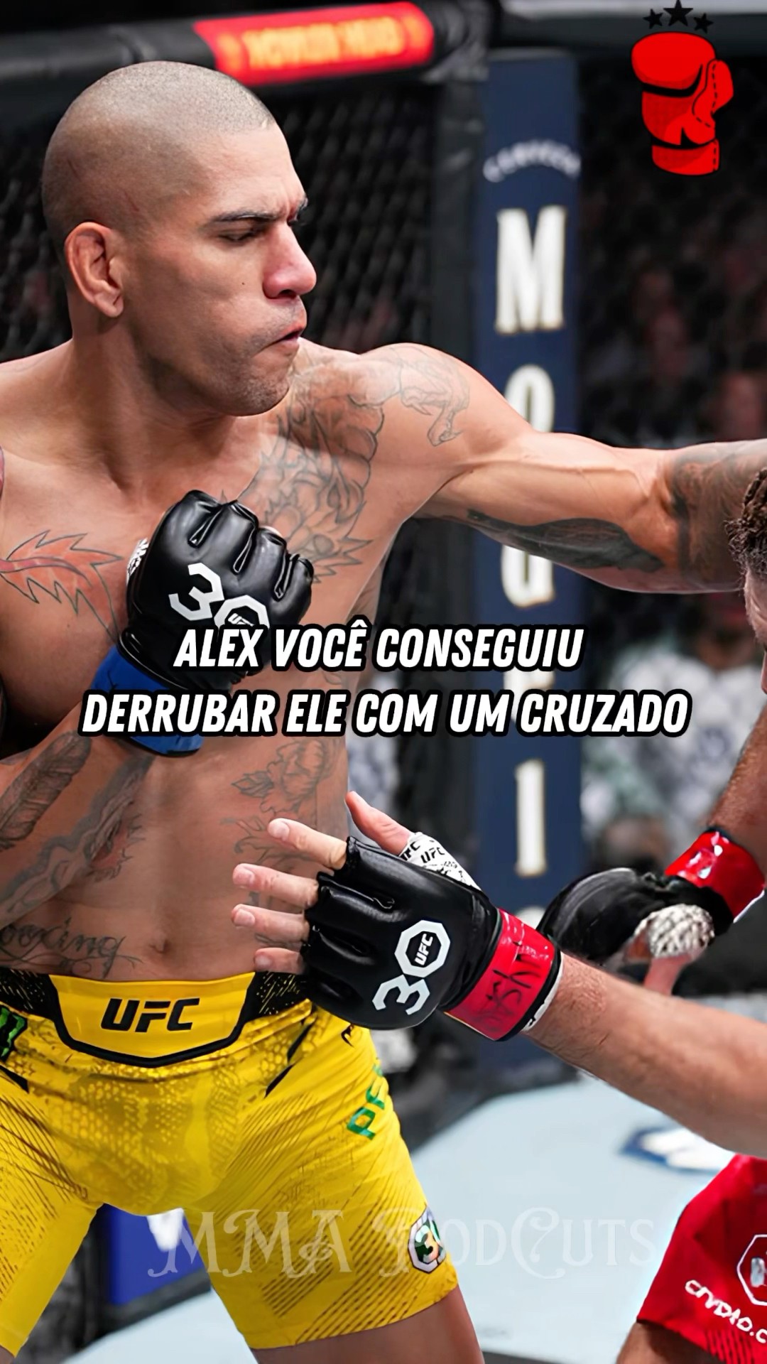 ALEX POATAN X JIRI PROCHAZKA #mma #luta #boxe #ufc #foryou #shortsfeed #brasil