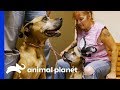 A Call to Tia May Have Saved This Rescue Dog’s Life | Pit Bulls & Parolees