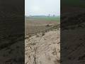 "Serene Village Fields: A Glimpse of Rural Beauty"#VillageFields #RuralScenery  #NatureInTheVillage