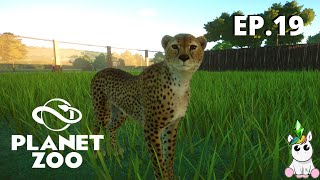 Planet Zoo Gameplay ITA - Ep.19 - Ghepardi e India screenshot 5