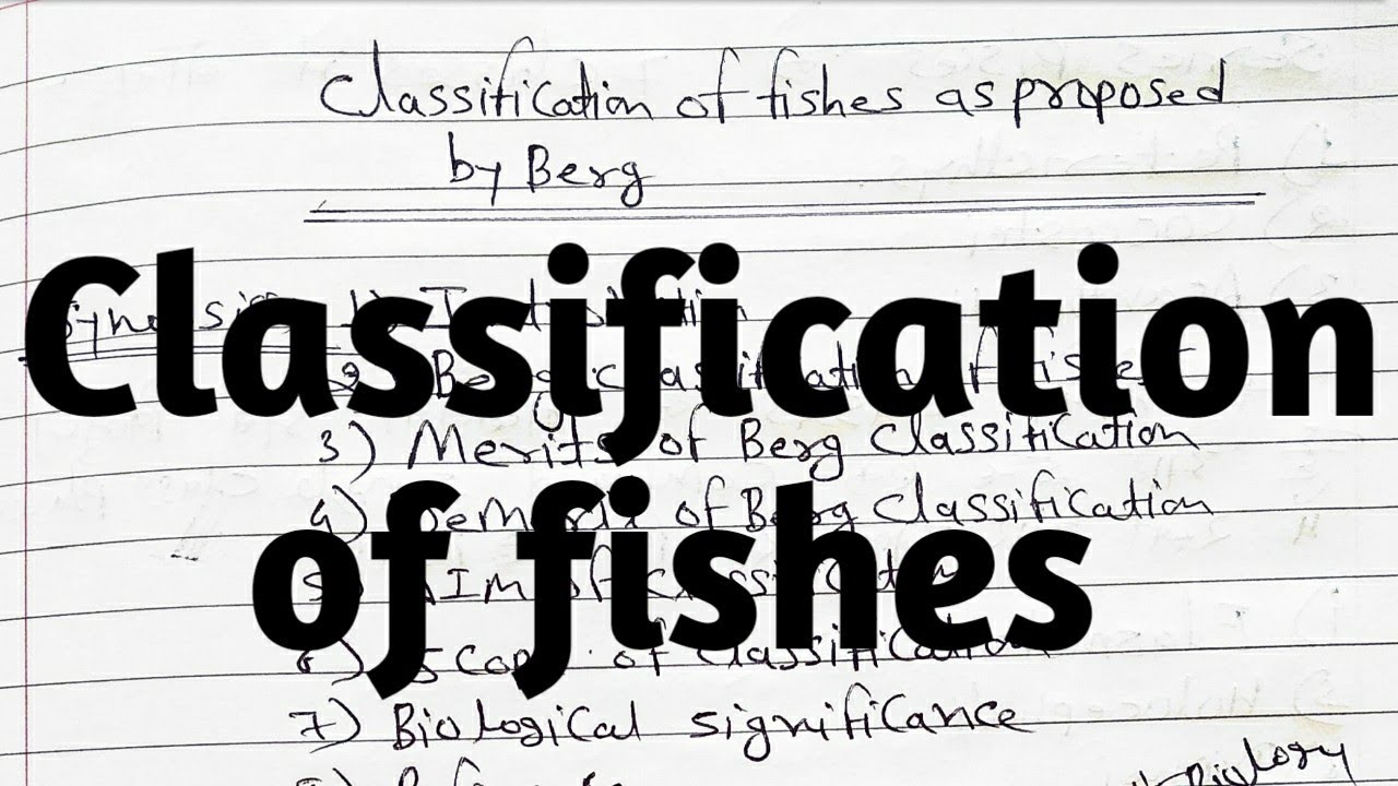 Classification of fishes as proposed by Berg - YouTube