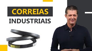 Industrial belts: what types are there and what are their applications? Industrial belts: what types are there and what are their applications?