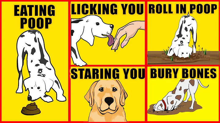 Real Meanings Behind 10 Odd Dog Behaviors - DayDayNews