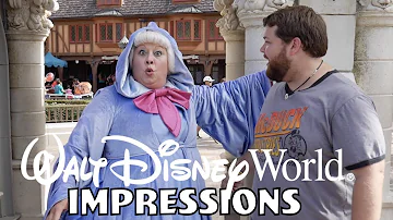 The Fairy Godmother Knew Who I Was?!? - Disney World Impressions
